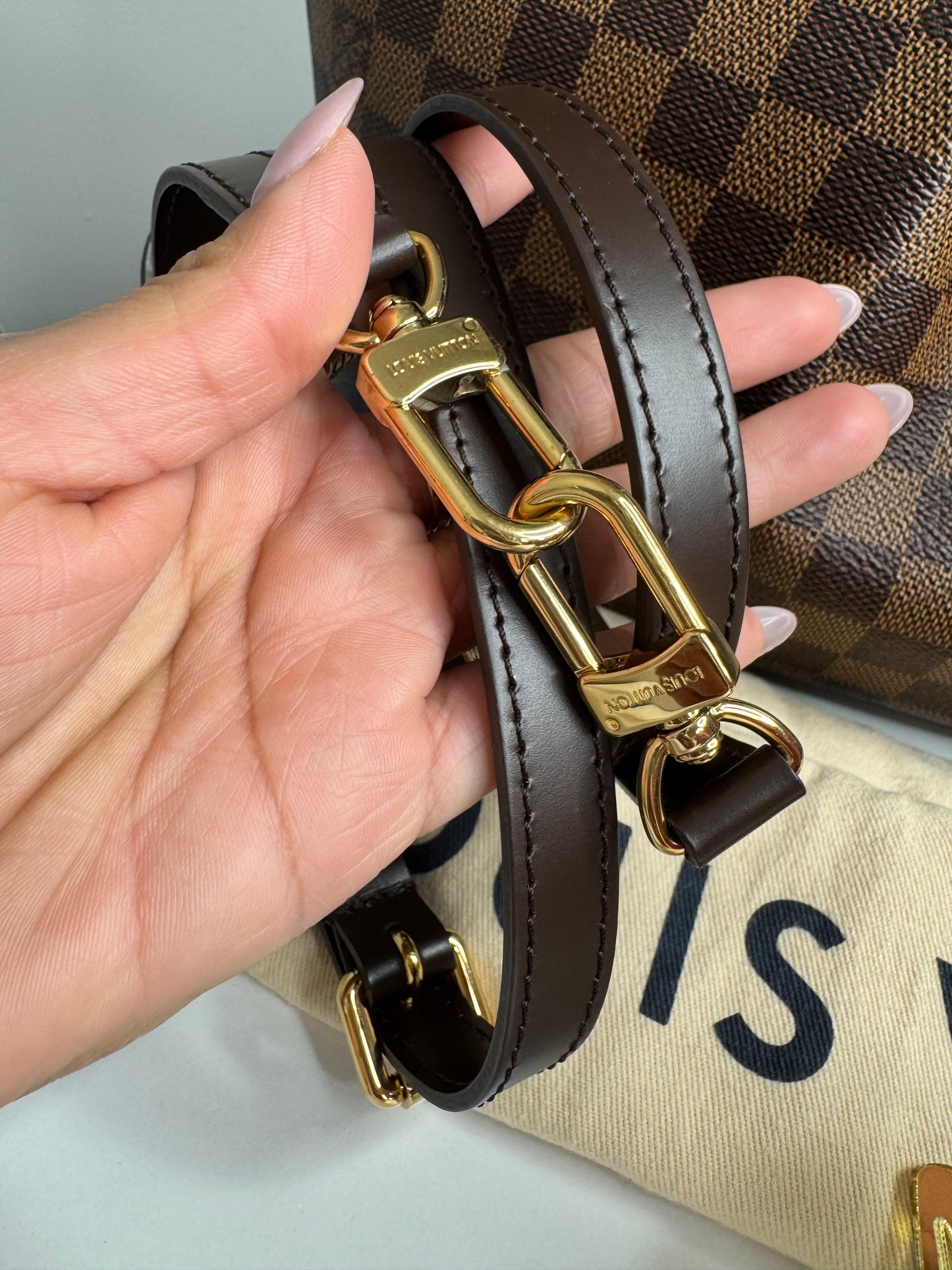 Louis Vuitton Damier Ebene Siena MM