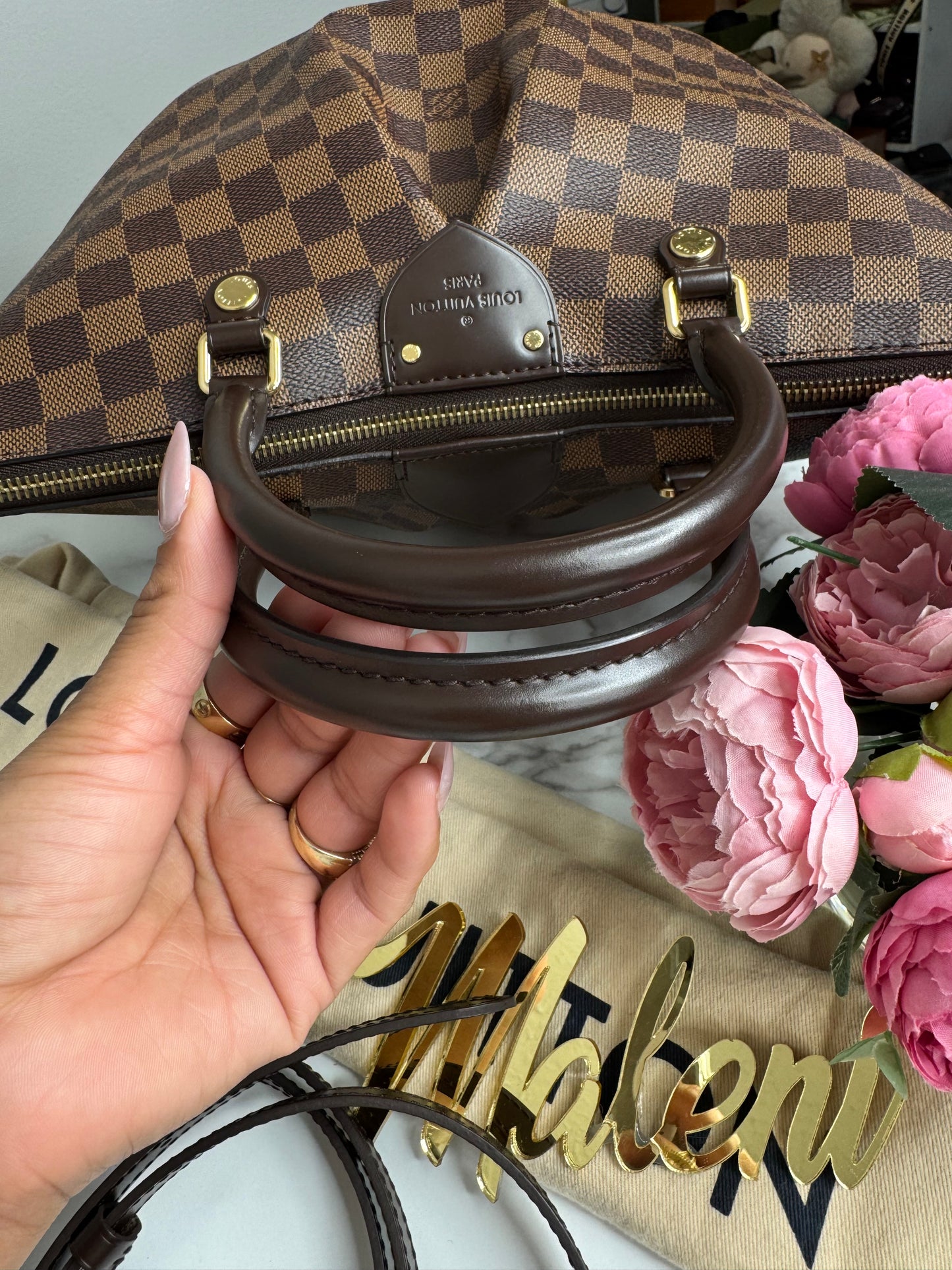 Louis Vuitton Damier Ebene Siena MM