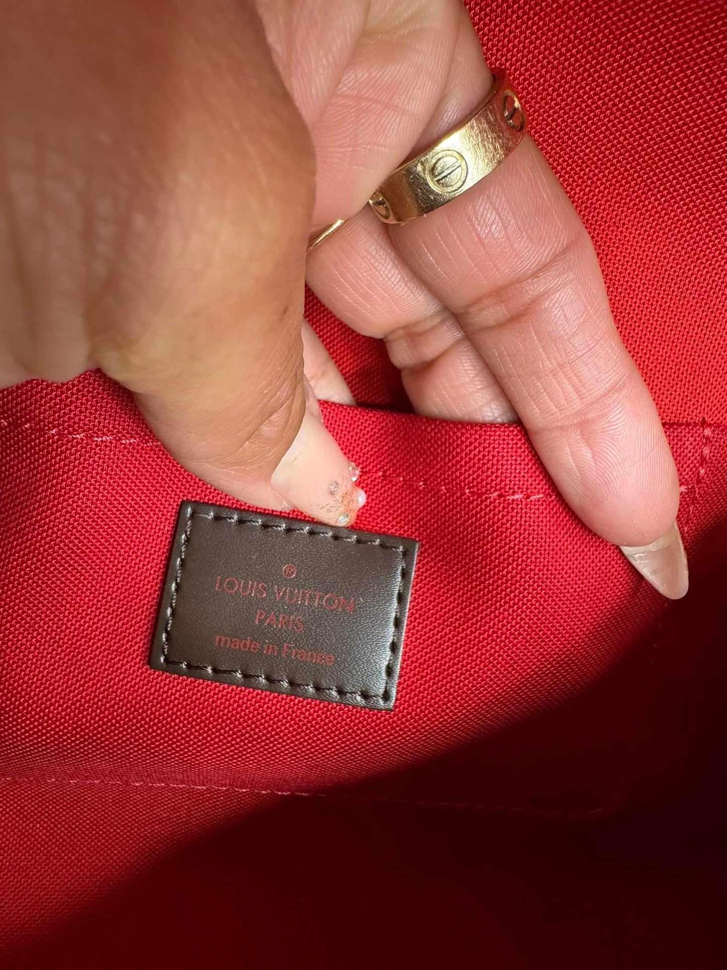 Louis Vuitton Favorita MM