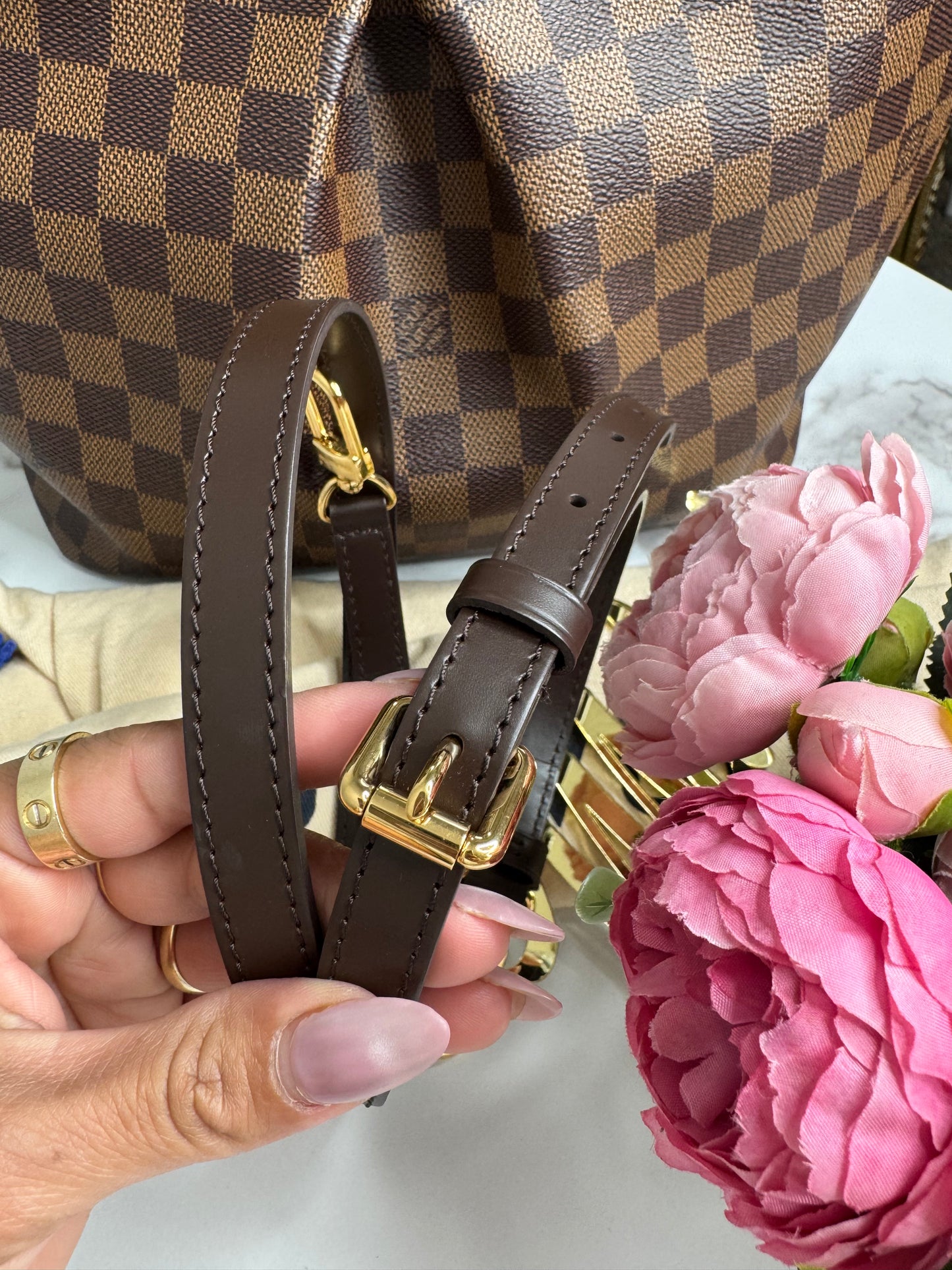 Louis Vuitton Damier Ebene Siena MM